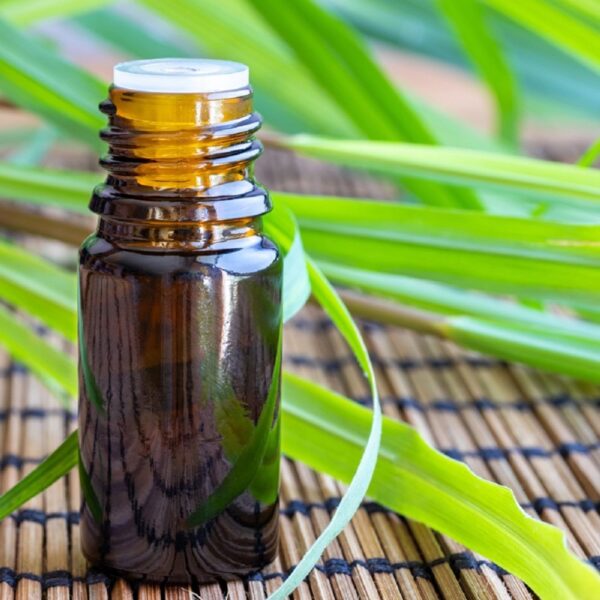 Citronella Oil / essential oil