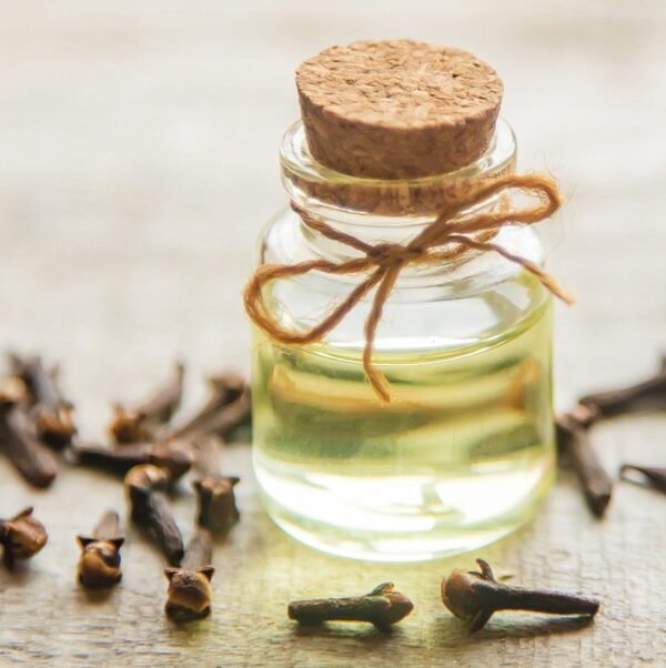 clove stem essential oil