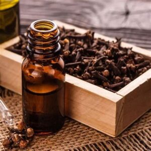 clove bud oil