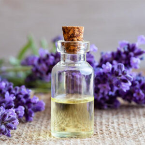 LAVENDER OIL