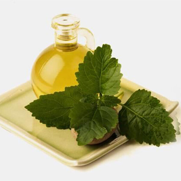 Patchouli Oil