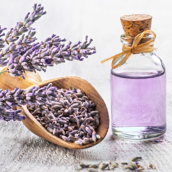 lavender oil