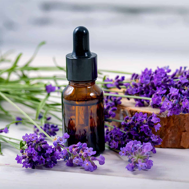 lavender oil