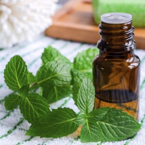 peppermint oil